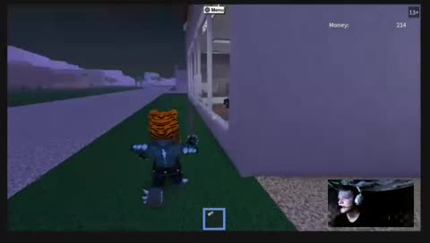 someone playing roblox not me