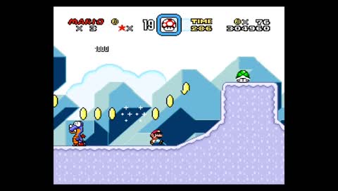 Koopa ignores physics