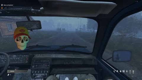Well, that's DayZ for you