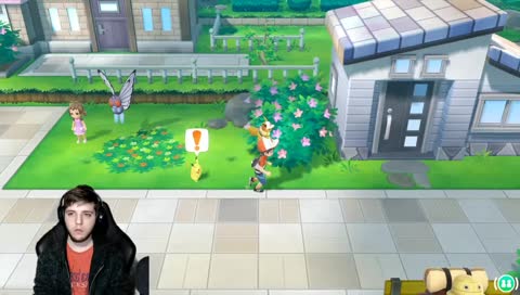 Bohne das Trüffel Schwein LUL