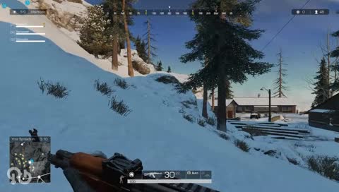 Attention!!! Attaque de dinde!