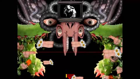 cant lose this fight