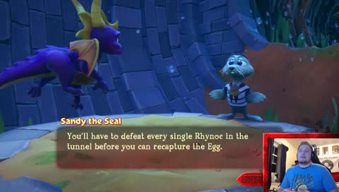 that's a baby seal Rook