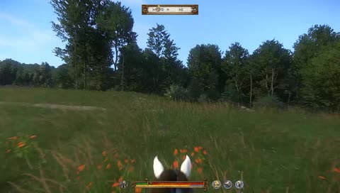 Through the trees, or not