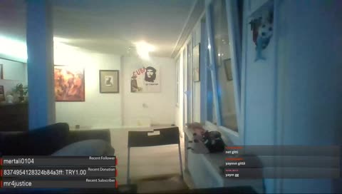 yer değiştirme çabaları :D (yer değiştiren porsuk)