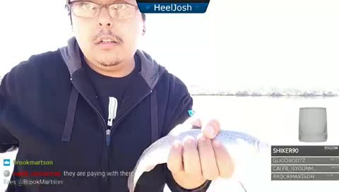 trout with brain damage