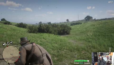 Stupid Horse