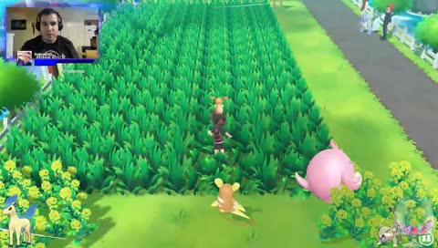 SHINY PONYTA POGGERS