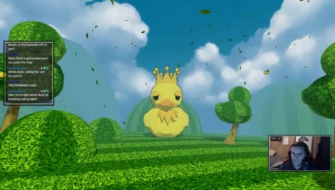 You can't escape the ducks