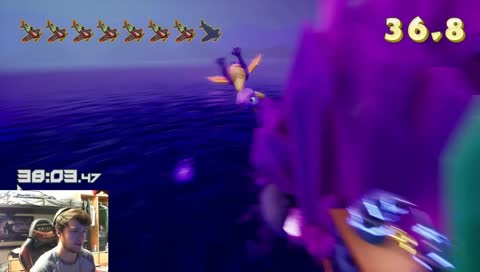 Spyro Wild Flight route?
