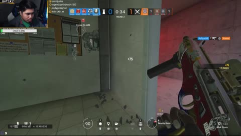 Ragdoll