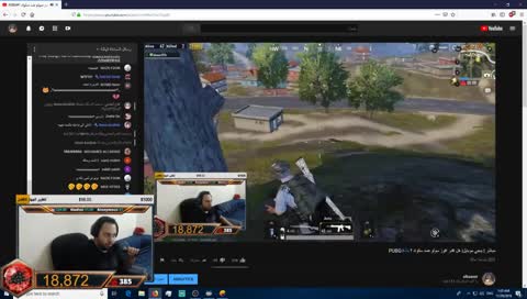 ايه؟؟؟ شجره؟؟؟