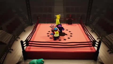 Hoodie In the Ring