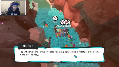 WHAT ARE THESE PLACES TEMTEM?