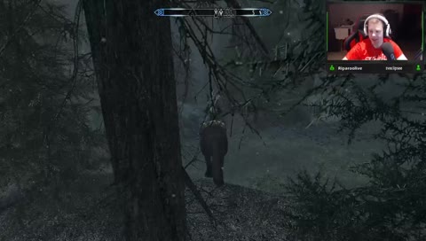 great collision boxes on this horse