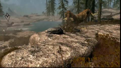 Watching the fights, friend?