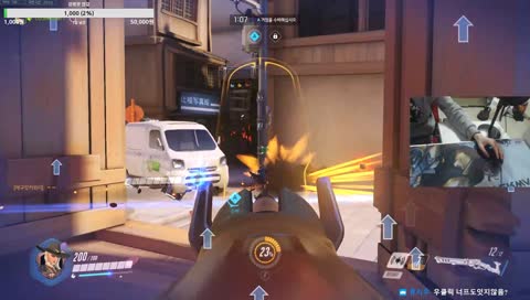 애쉬로 팀킬하는법