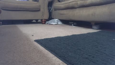 he forgot the cam!!