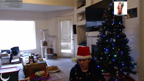 the kitty steals the baby Jesus