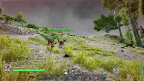 Crit goes mach 10 into a mountain