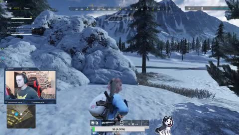 the snipes