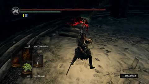 Das DS PVP Frags #1