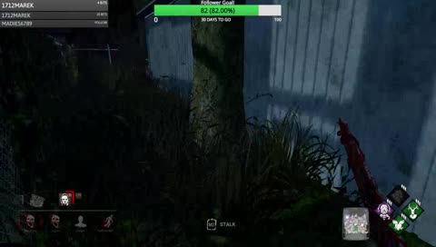 blind streamer smh