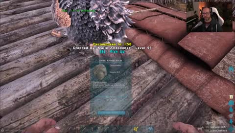 "Dodo-Scheiße ist die Beste!"