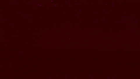 wtf