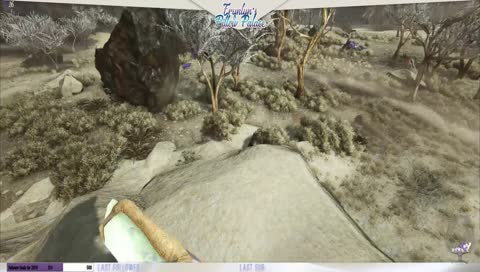 Calm Collected Samantha