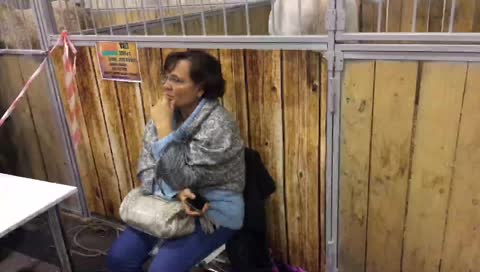 Pasitaiso plaukus :D