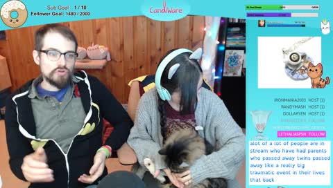 kitty distraction