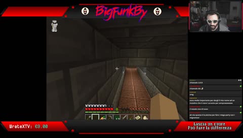povero Diablo pig
