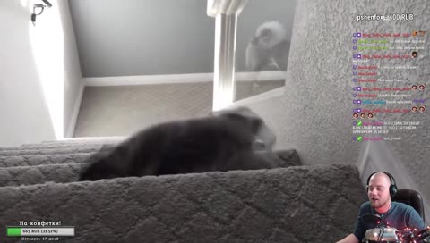 ну типа так