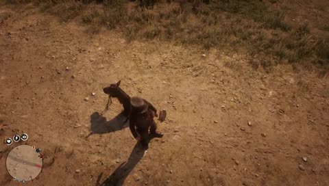 DisappearingHorse
