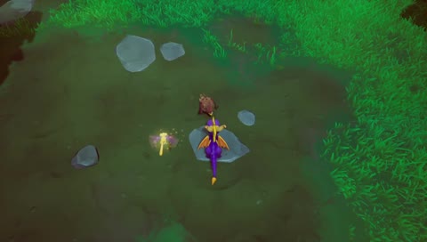 cat spyro thing