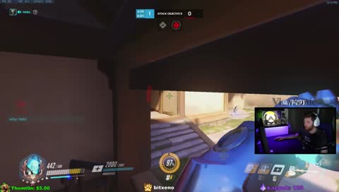 series of nut plays