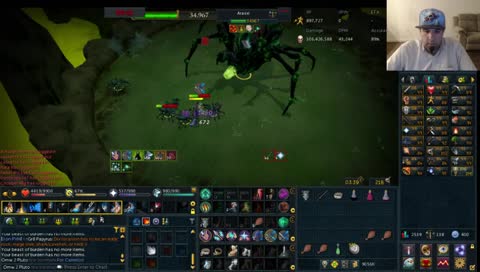 Teach the cat a lesson