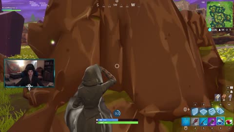 Animals wildin in the back