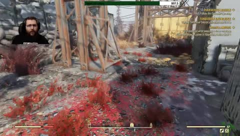 Carry Weight Bug