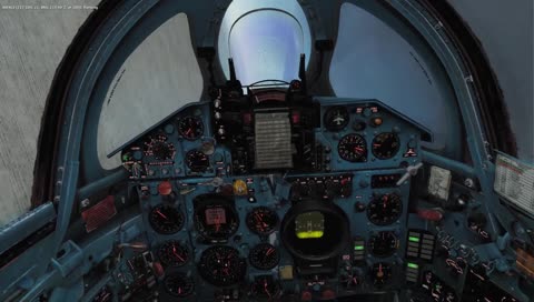 mad dutch tiger hecks unsuspecting aussie fish