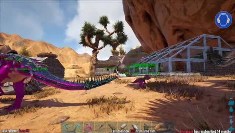 mit den Katzen zum Tierarzt