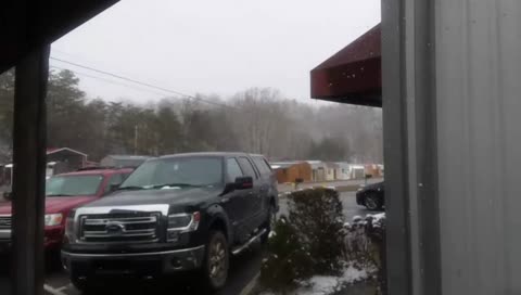 The Crazy One And Yellow Snow
