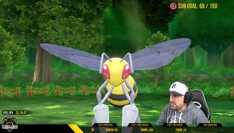 Schwalli bei dem Versuch ein Bibor zu fangen