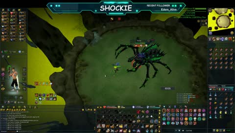 21 hp mirrorback