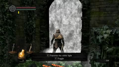 First Capra fight
