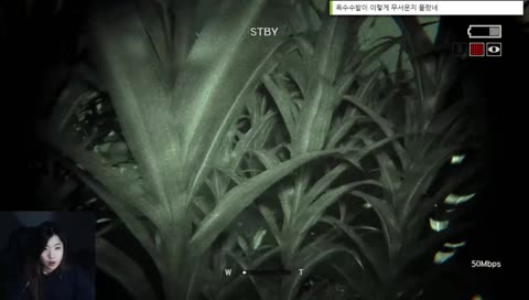 죽치고있는 랜턴아재