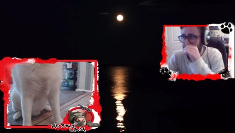 Early XMAS for Sparky & Arky!!!!!