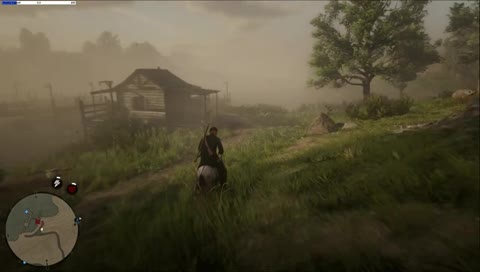 Donkey LUL