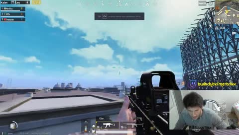 Adamaişaretfişeği